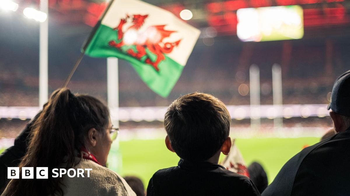 Fans watch on from the Principality Stadium stands as Wales lose to Argentina
