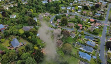 Loud 'bang' wakes man to kitchen fire in Wakari