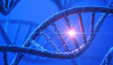 How a Cellular ‘Engine’ Controls Building Blocks of DNA 