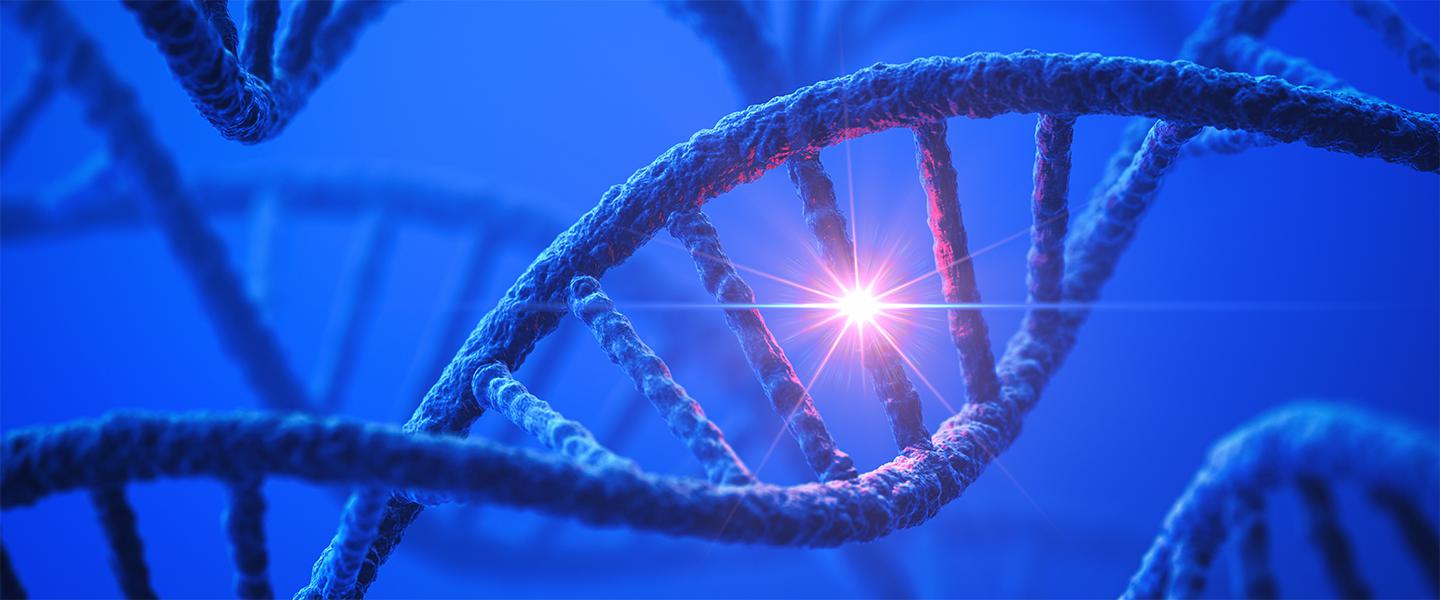 How a Cellular ‘Engine’ Controls Building Blocks of DNA 