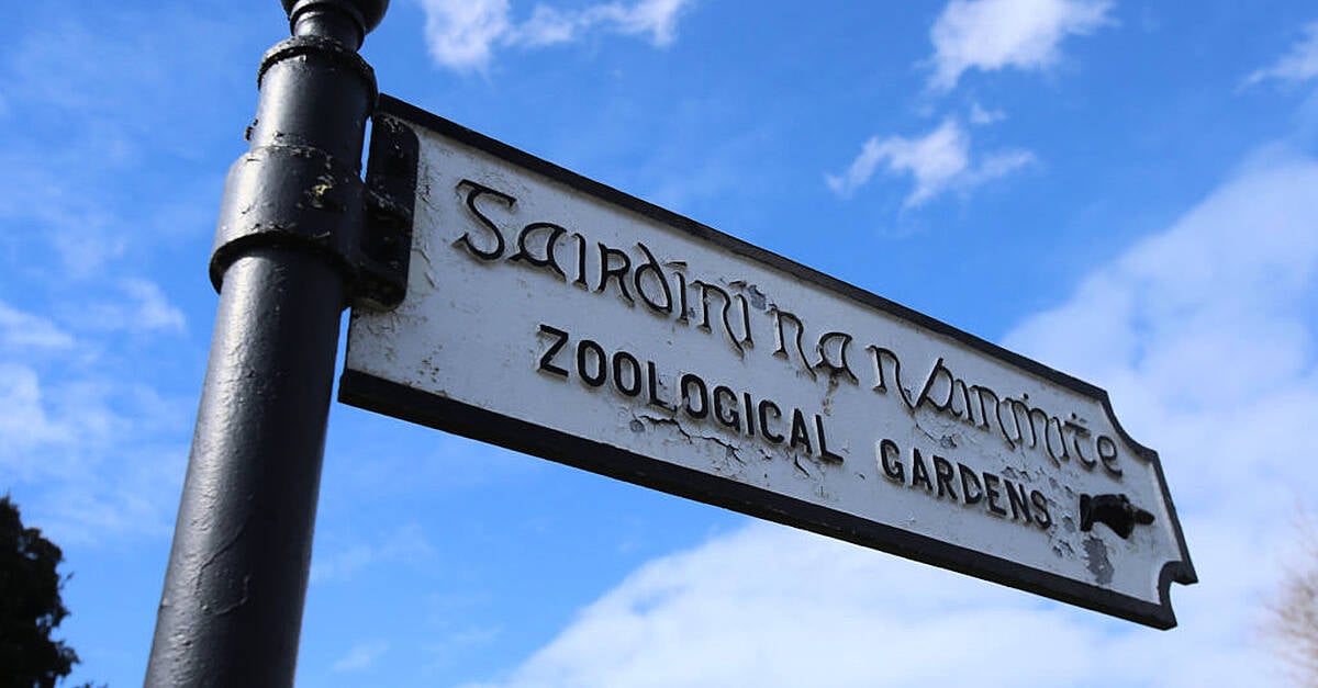 Dublin Zoo ‘vehemently disputes’ staff harassment and animal welfare claims