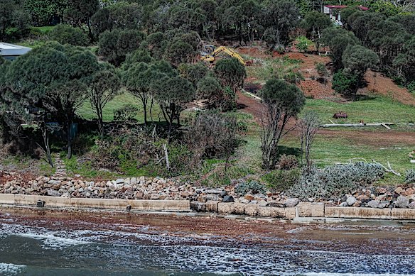 An excavator appears to be visible behind a tree near the Kackeraboite Creek Beach on Tuesday, but this masthead cannot confirm it was the machine which conducted unauthorised works on the public beach on Sunday.