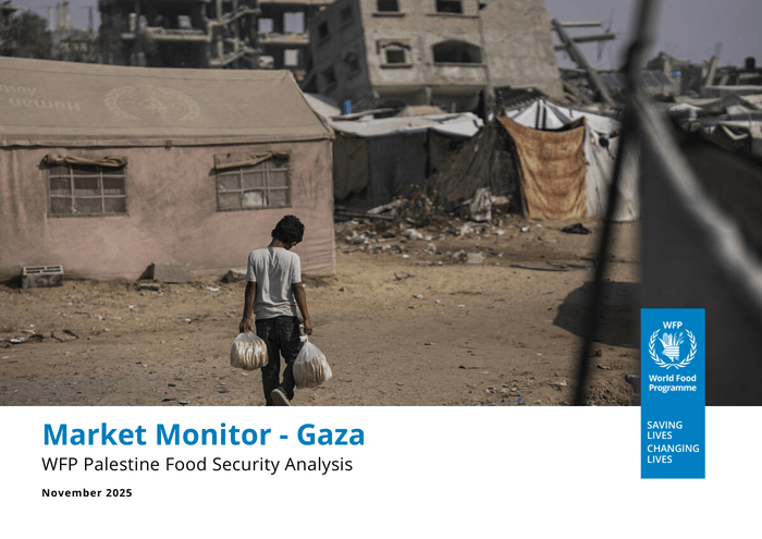 WFP Palestine Food Security Analysis - Market Monitor - Palestine, November 2025 - occupied Palestinian territory