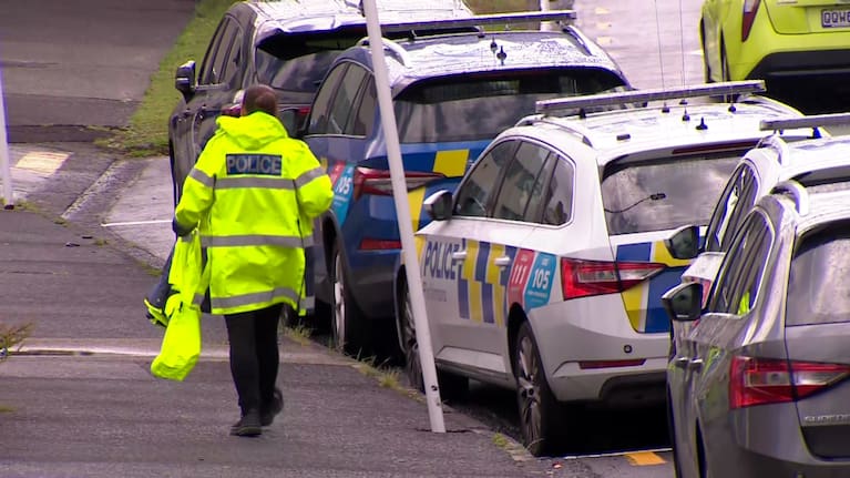 Emergency services at the scene of a stabbing in Auckland's Henderson.