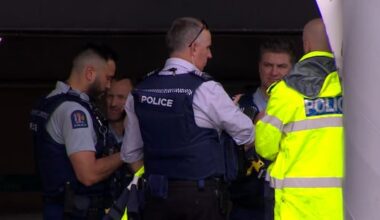 Man charged after stabbing in Auckland's Henderson