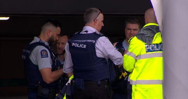 Man charged after stabbing in Auckland's Henderson