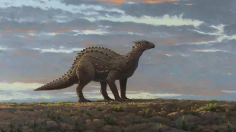 Julian Friers/National Museums NI An artist's impression of a Scelidosaurus dinosaur, painted by Julian Frier. It is four legged and has spikes on its back.