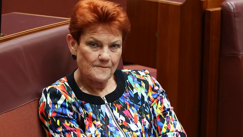 Pauline Hanson travel expenses attacked by Coalition