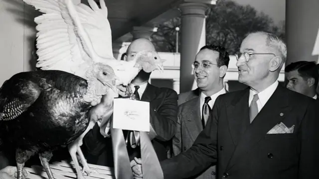 Truman and his aides look at two live turkeys at the White House