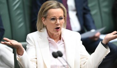 Coalition’s primary vote plunges to record low and One Nation surges to record high in Newspoll