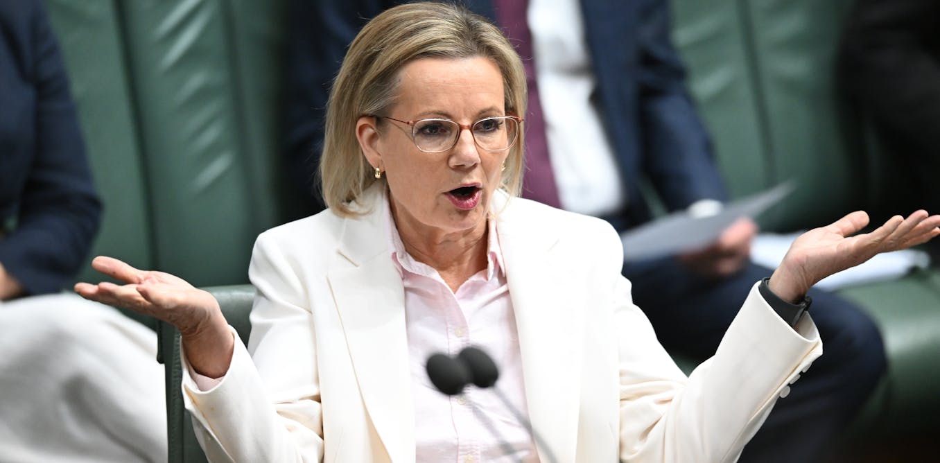 Coalition’s primary vote plunges to record low and One Nation surges to record high in Newspoll