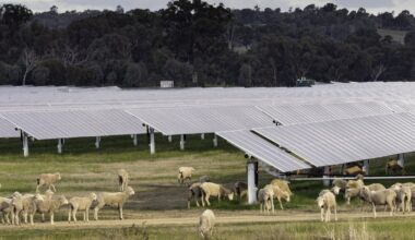 why the Nationals’ retreat on net zero would be bad economics