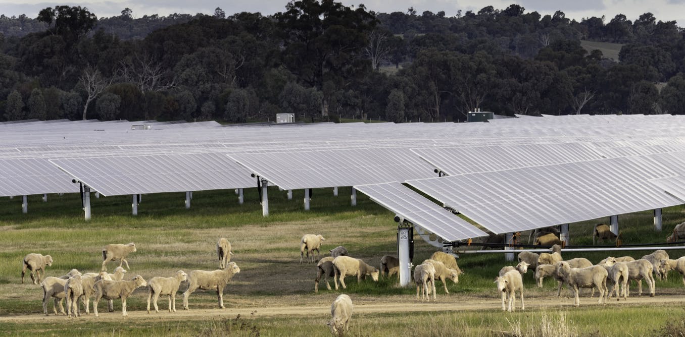 why the Nationals’ retreat on net zero would be bad economics