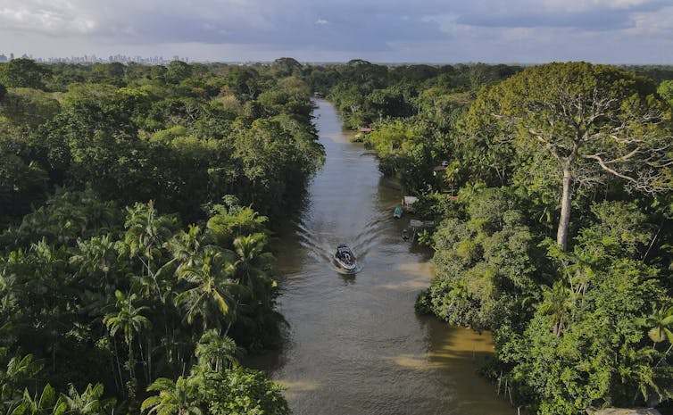 An aerial shot of a small boat on a river in the thick Amazon rainforest.
