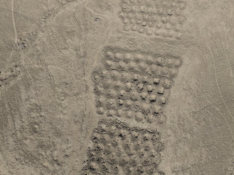 Aerial photo showing carefully arranged groups of holes in the ground.