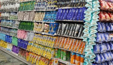 The ultra-processed foods problem is driven by commercial interests, not individual weakness. Here’s how to fix it