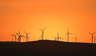 The Liberals dropped net zero. Will it make any difference to Australia’s climate response?