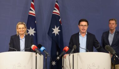 Coalition parties jointly cremate net zero, while leadership contenders circle Sussan Ley