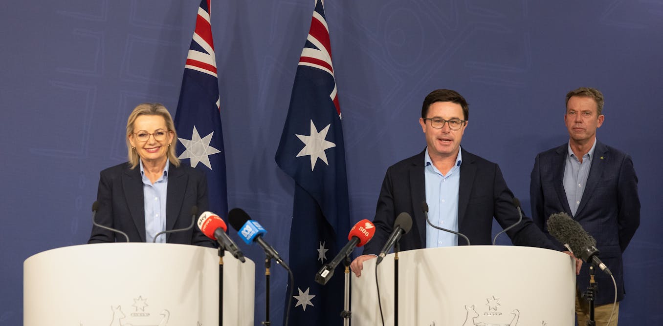 Coalition parties jointly cremate net zero, while leadership contenders circle Sussan Ley