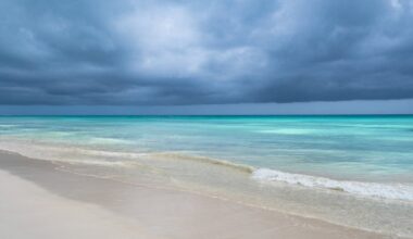 Australia has dropped its bid to host the COP31 climate talks. Here’s what happened – and what’s next