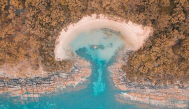 Long-sought environmental law reform is finally here. But will the compromise deal actually protect nature?