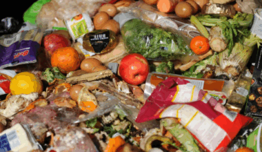 NZ throwing away 237kg of food per person every year