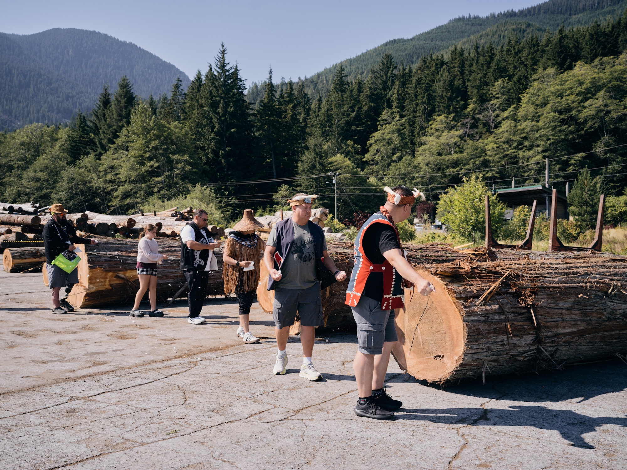 A group of people walk in front of giant tree trunks cut for logging
