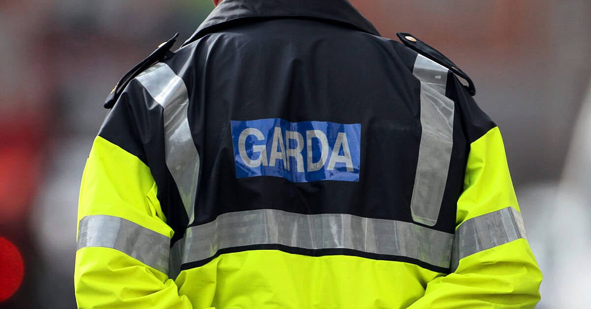 Garda says baton strike on ex-officer was ‘proportionate and justified’ after 140km/h pursuit