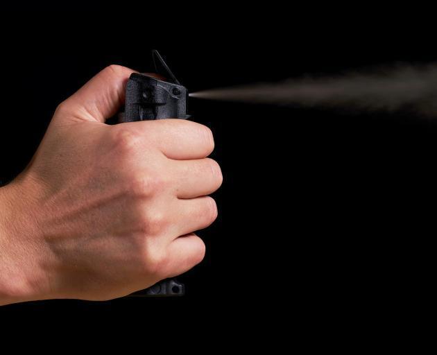 'You got it wrong': Cop pepper-sprayed compliant motorist three times