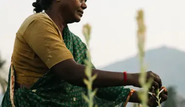 Givaudan becomes full member of UEBT: Sourcing with respect