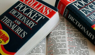 The Collins' Word of the Year is a sequel to a previous winner