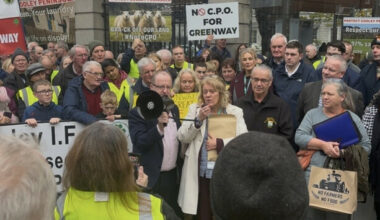 Independent Ireland leader claims 'sh*t frightened out of' TII during committee appearance
