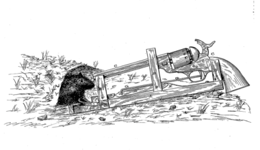 The ‘Marathon Man’ approach to bank supervision