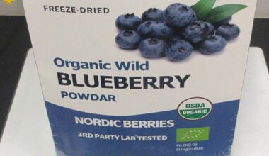 Meth worth $8 million uncovered in blueberry power packaging at Melbourne Airport