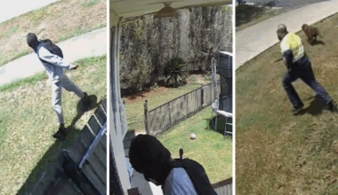 Hero tradie makes citizen arrest after phone alert