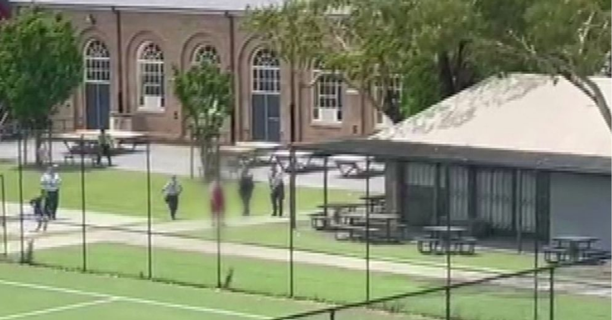 Police Taser student armed with knife at North Sydney Boys High School