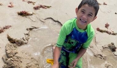 Woman, 84, charged over alleged hit-run crash that killed six-year-old boy