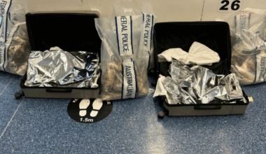 QLD woman charged over allegedly importing 39kg of chilli-covered drugs to Sydney Airport