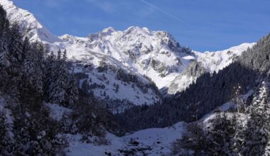 Rescuers launch search after Stubai Glacier avalanche in Tyrol