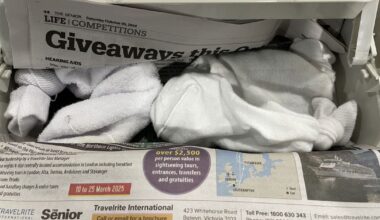 Reptile smuggler sentenced after hiding lizards in boots and socks