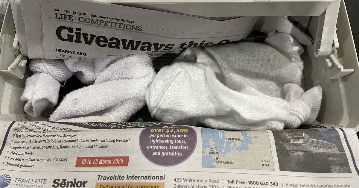 Reptile smuggler sentenced after hiding lizards in boots and socks