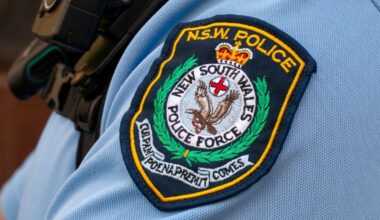 Man tasered after allegedly throwing spear and stabbing police