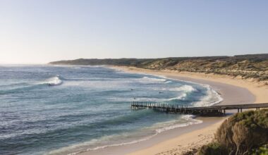 Shark knocks rider off foilboard at WA beach