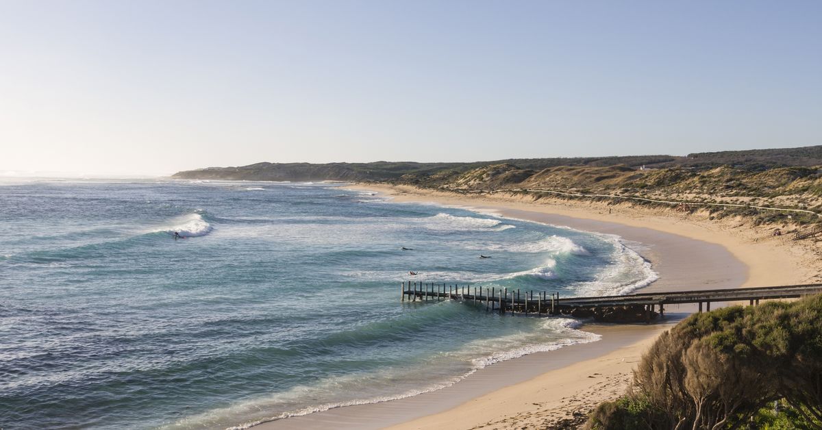 Shark knocks rider off foilboard at WA beach