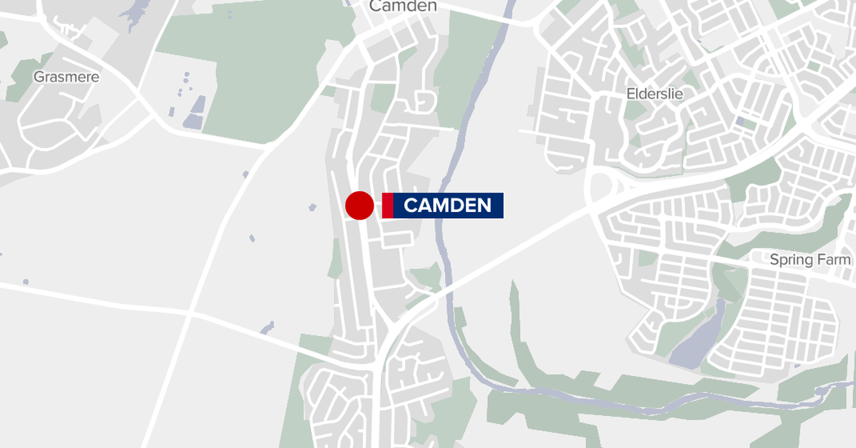 Teenagers charged after BMW torched following alleged violent carjacking in Sydney's south-west