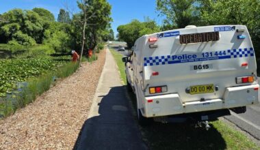 Four arrested after man stabbed to death at regional park