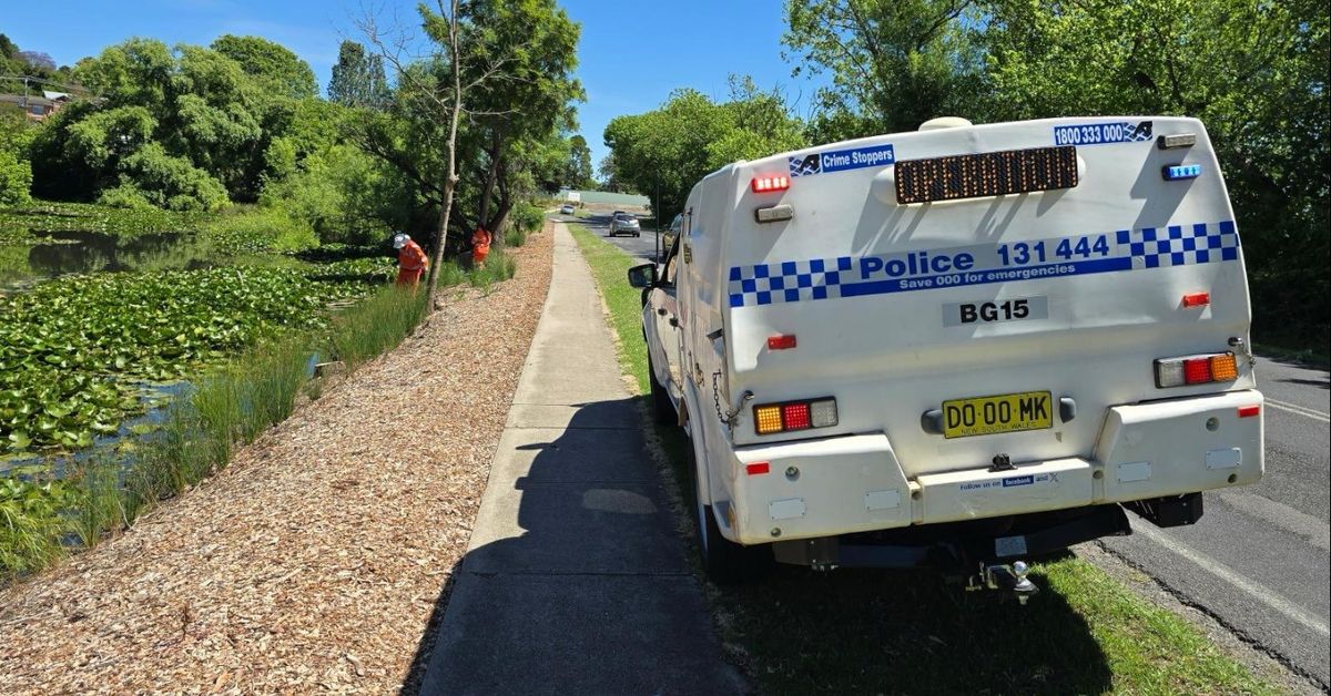 Four arrested after man stabbed to death at regional park