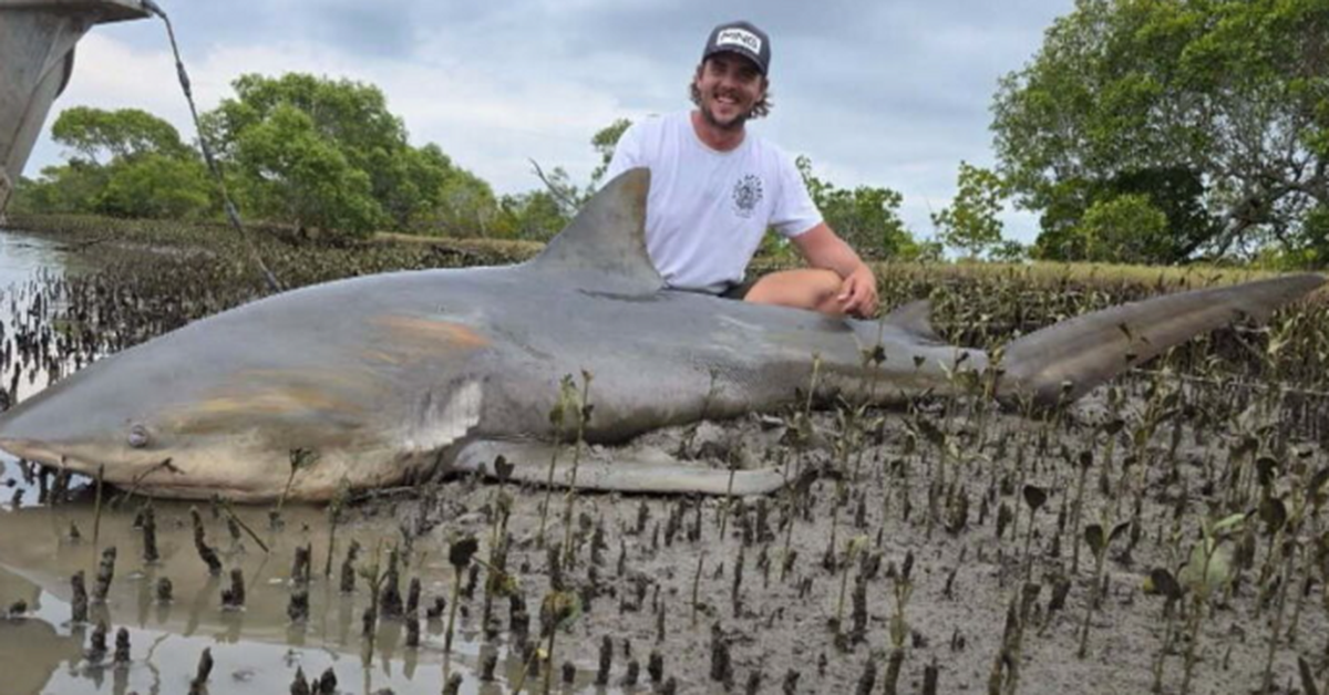 Fisherman reels in monster surprise from Queensland river