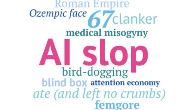 Macquarie Dictionary announces its 2025 word of the year