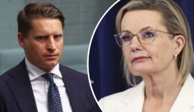 Mounting pressure on Sussan Ley as Coalition support crumbles